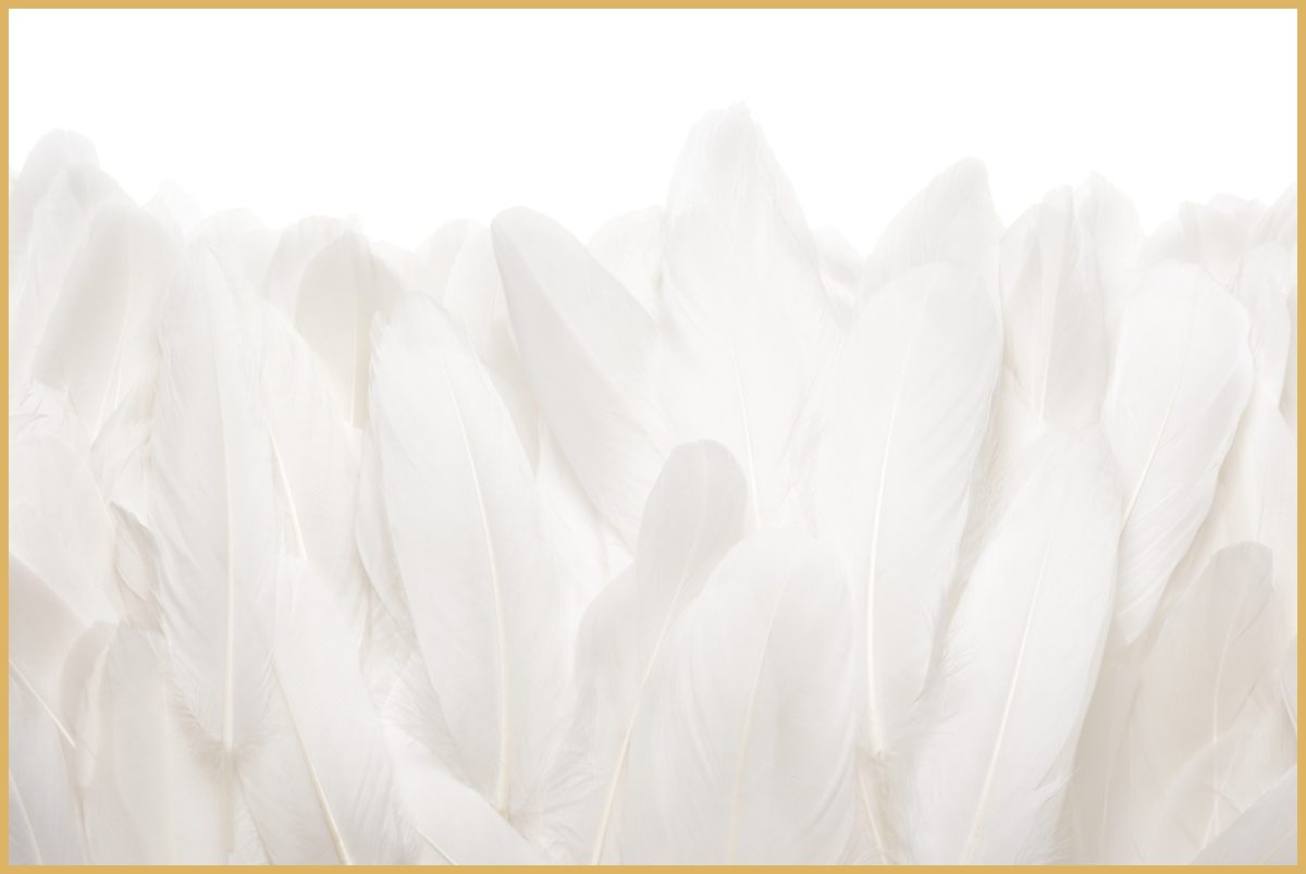 Quadro Decorativo Penas Off White - Imagem 4