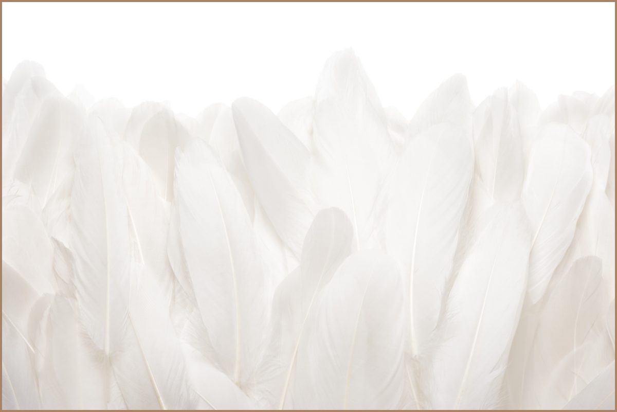 Quadro Decorativo Penas Off White - Imagem 9