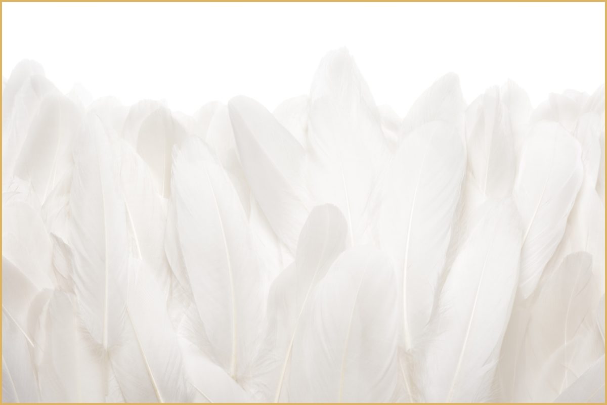 Quadro Decorativo Penas Off White - Imagem 10