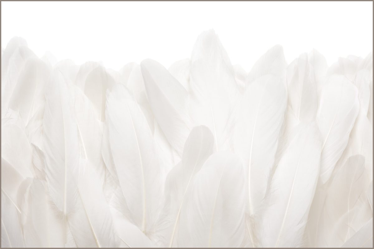 Quadro Decorativo Penas Off White - Imagem 11