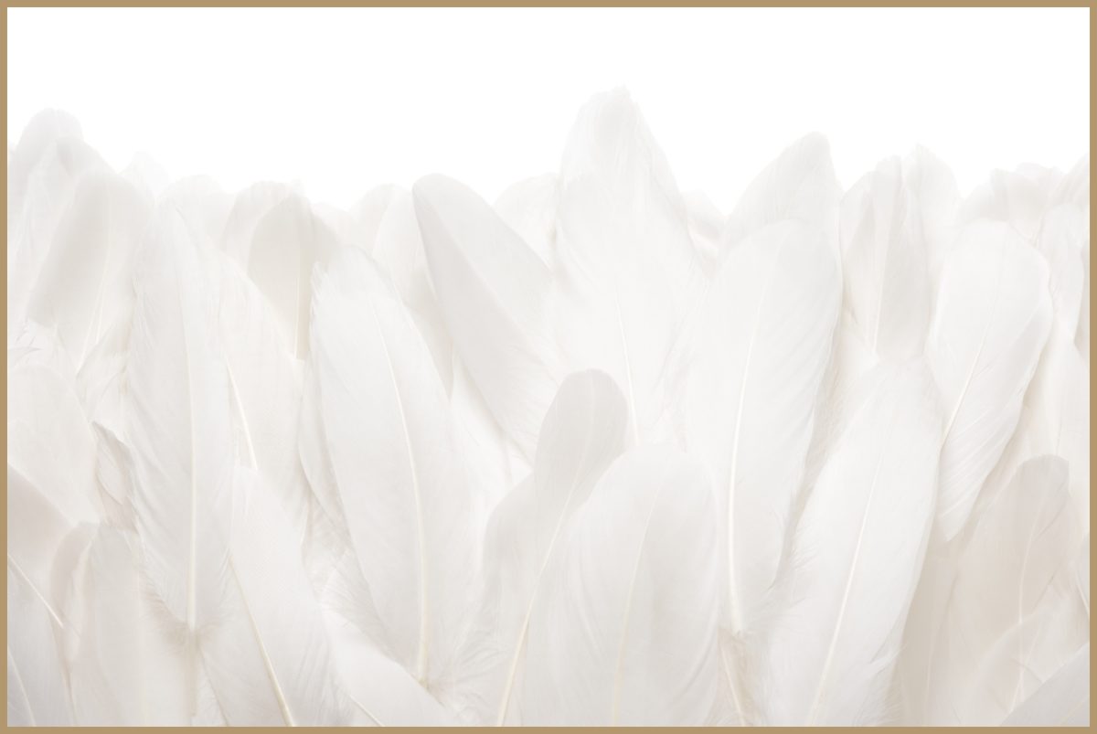 Quadro Decorativo Penas Off White - Imagem 14