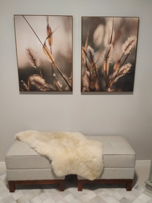 Jogo Com 2 Quadros Decorativos Fotografia Folhas e Floral