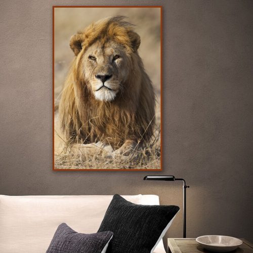 Quadro Decorativo Leão