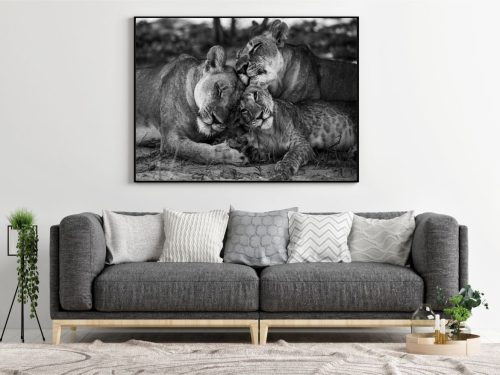 Quadro Decorativo Família de Leões Preto e Branco