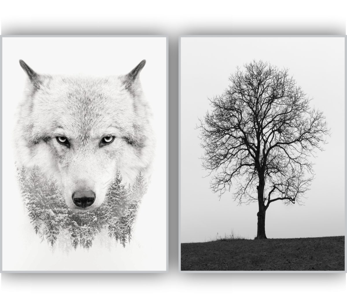 Jogo com 2 Quadros Decorativos Lobo e Árvore Preto e Branco - Imagem 6