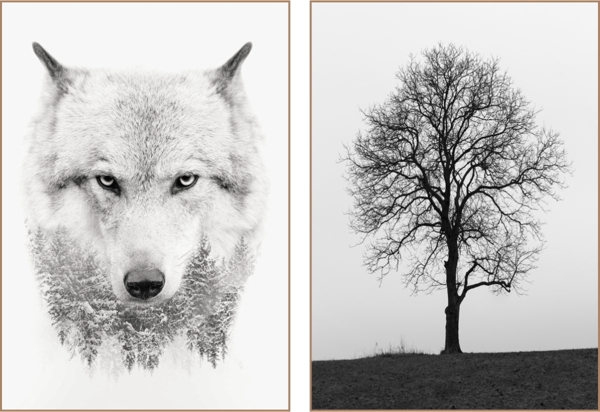 Jogo com 2 Quadros Decorativos Lobo e Árvore Preto e Branco - Imagem 9