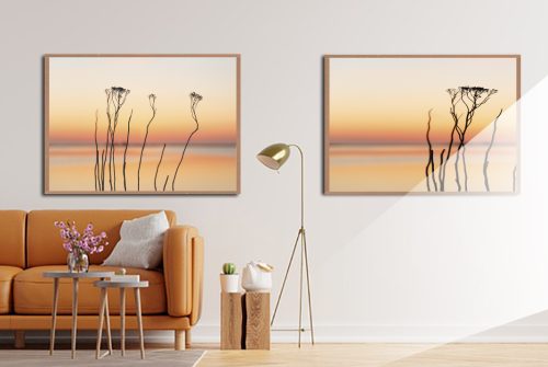Jogo com 2 Quadros Decorativos Fotografia Paisagem com Galhos de Árvores