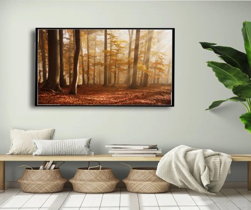 Quadro Decorativo Floresta com Árvores