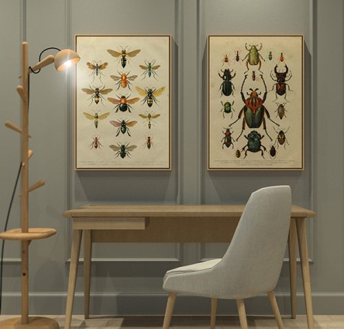 Jogo com 2 Quadros Decorativos Insetos