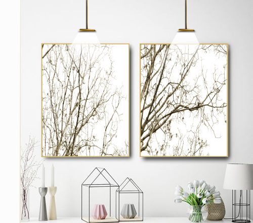 Jogo com 2 Quadros Galhos ao fundo branco