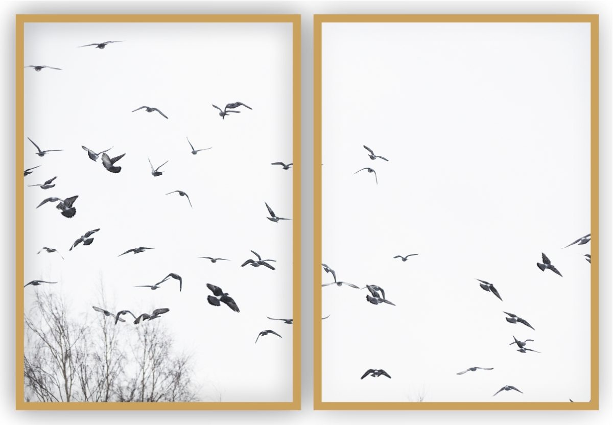 Jogo com 2 Quadros Decorativos Pássaros ao Fundo Branco - Imagem 4