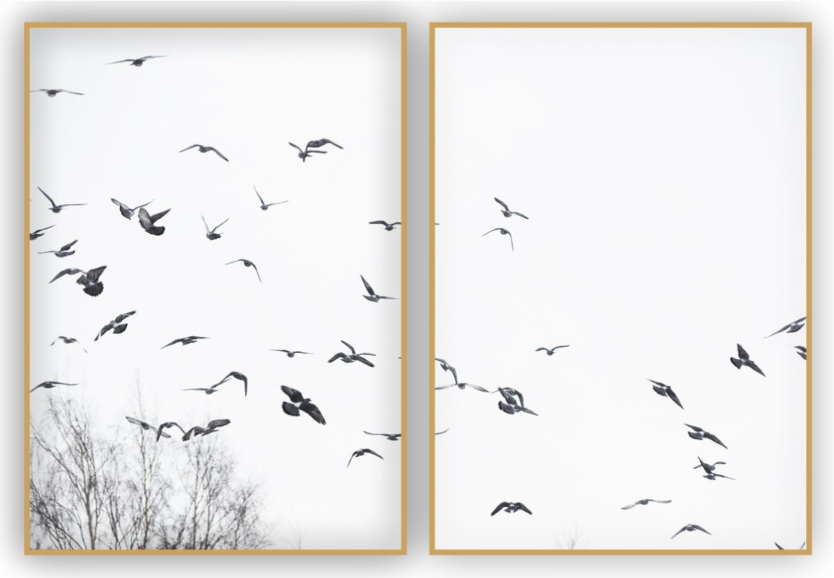 Jogo com 2 Quadros Decorativos Pássaros ao Fundo Branco - Imagem 10
