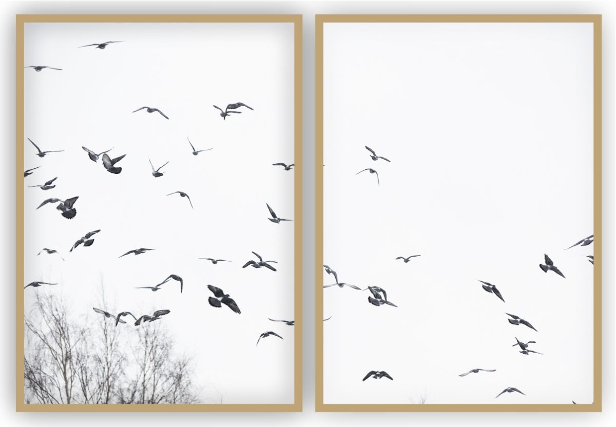 Jogo com 2 Quadros Decorativos Pássaros ao Fundo Branco - Imagem 14