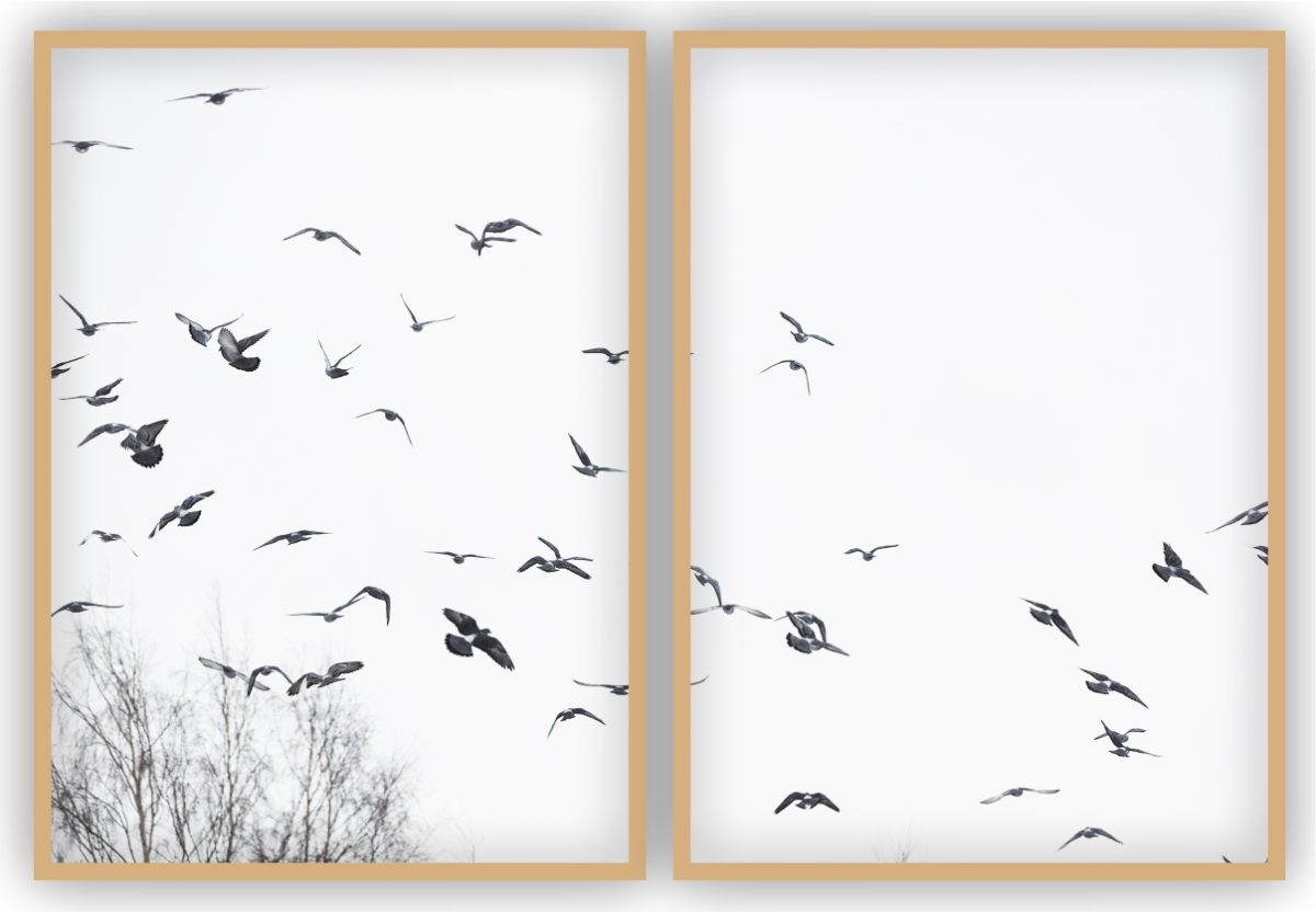 Jogo com 2 Quadros Decorativos Pássaros ao Fundo Branco - Imagem 15