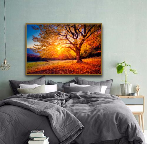 Quadro Decorativo Natureza Fotografia Árvore no por do sol