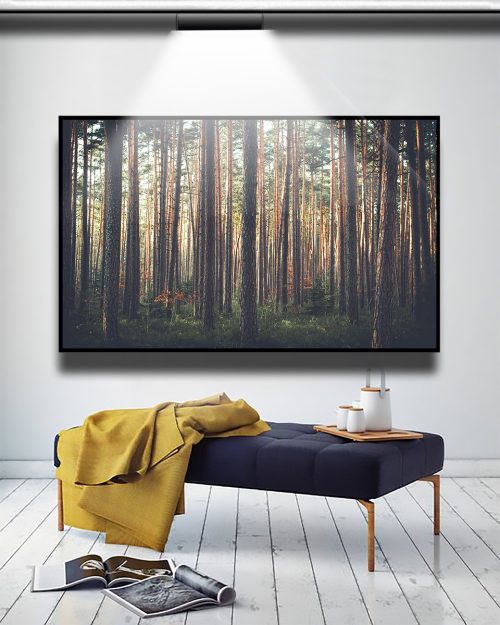 Quadro Decorativo Troncos de Árvores