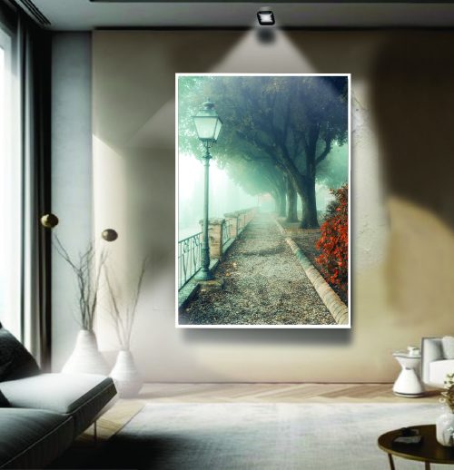 Quadro Decorativo Rua com Árvores