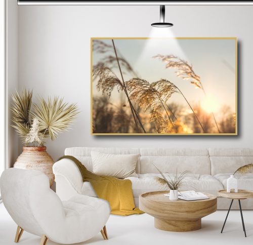 Quadro Decorativo Paisagem Pampas