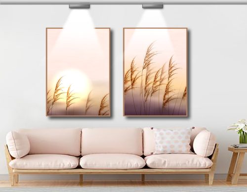 Jogo com 2 Quadros Decorativos Pampas no Por do Sol
