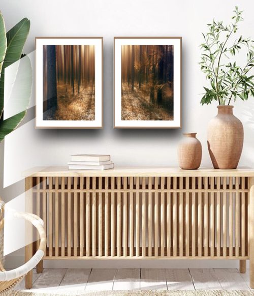 Jogo com 2 Quadros Decorativos Árvores na Floresta