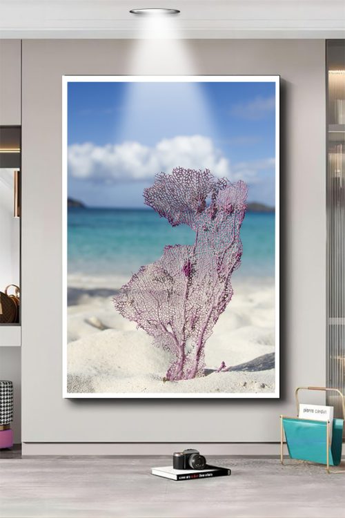 Quadro Decorativo Coral na Praia