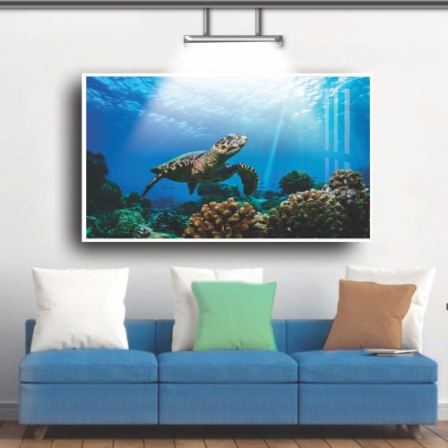 Quadro Decorativo Tartaruga no Mar