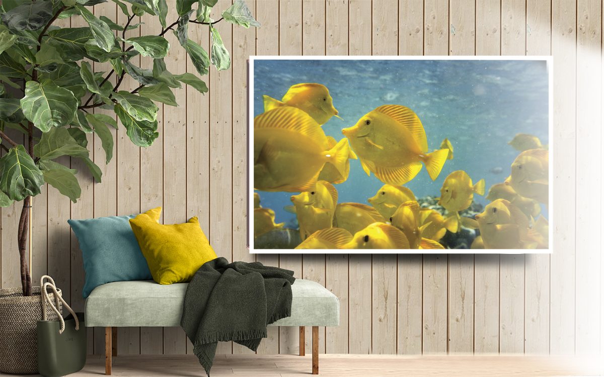 Quadro Decorativo Peixes Amarelos no Mar - Imagem 2