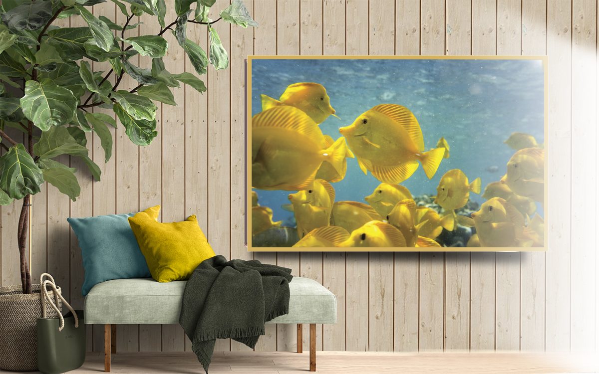 Quadro Decorativo Peixes Amarelos no Mar - Imagem 4