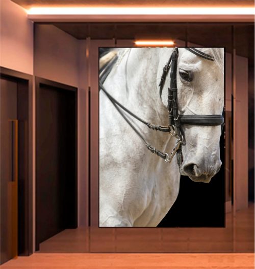 Quadro Decorativo Cavalo Branco