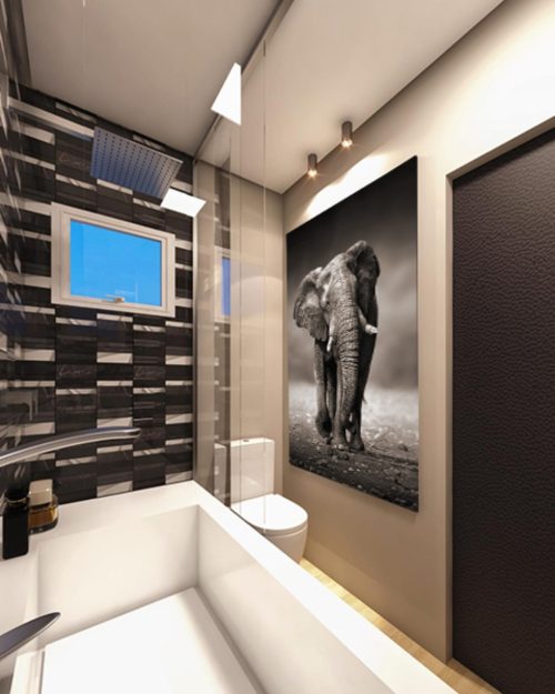 Quadro Decorativo Elefante